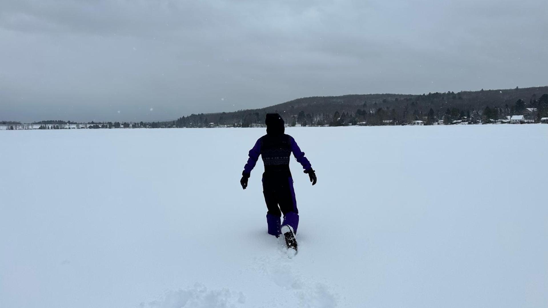 Chalet Kls Lac D'Argent イーストマン エクステリア 写真